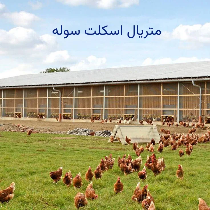 متریال اسکلت سوله