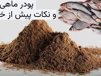 پودر ماهی و نکات پیش از خرید آن