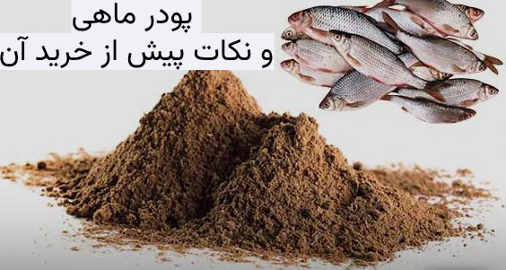 پودر ماهی و نکات پیش از خرید آن