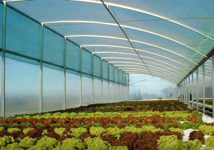 موارد استفاده نوین ورق های پلیمری در صنایع دیگر (مثل گلخانه، استخر، پوشش های زیست محیطی)